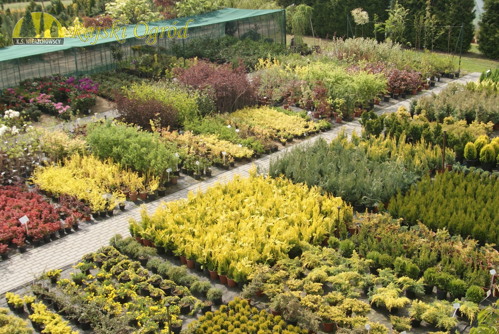 Rajski Ogród Złotów