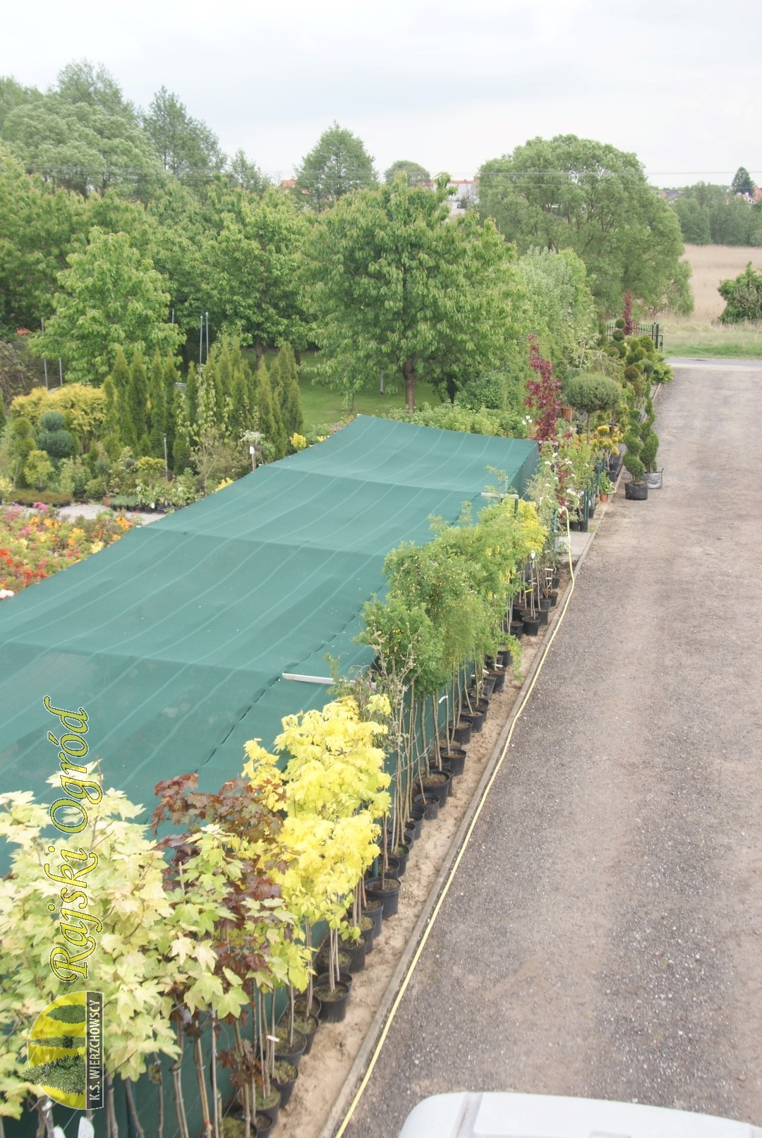 galeria zdjęć roślin i usług