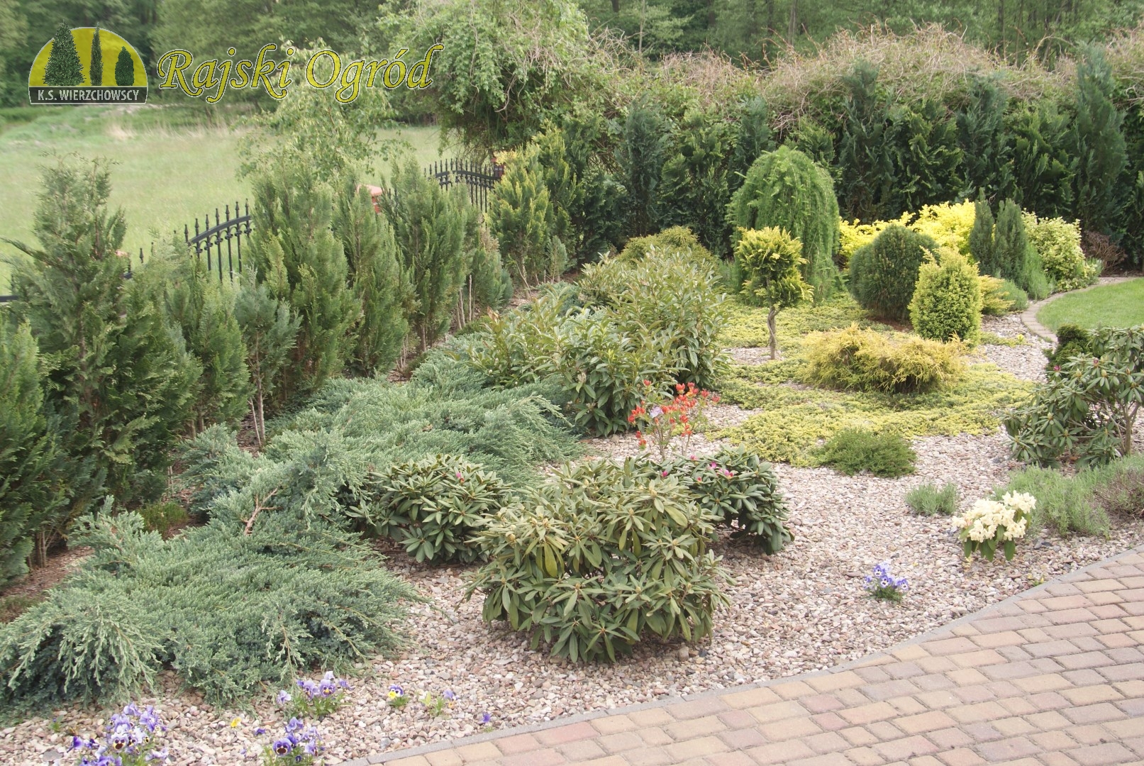 galeria zdjęć roślin i usług