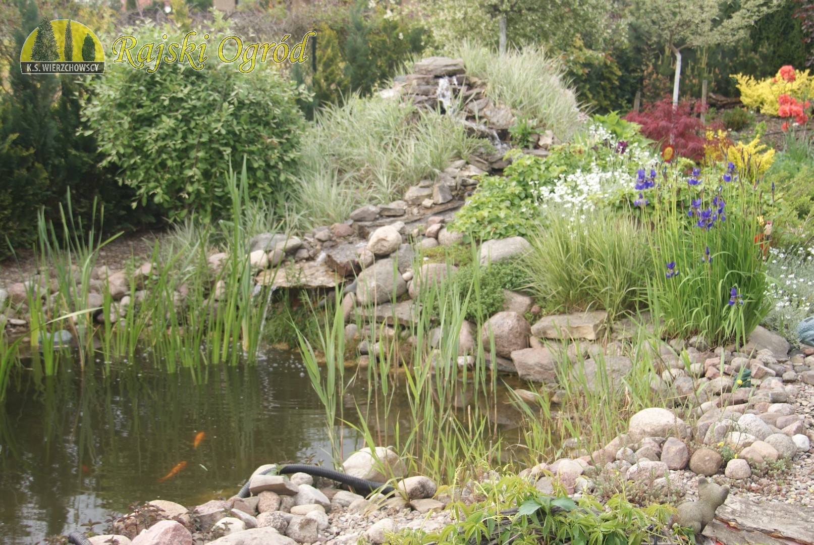 galeria zdjęć roślin i usług