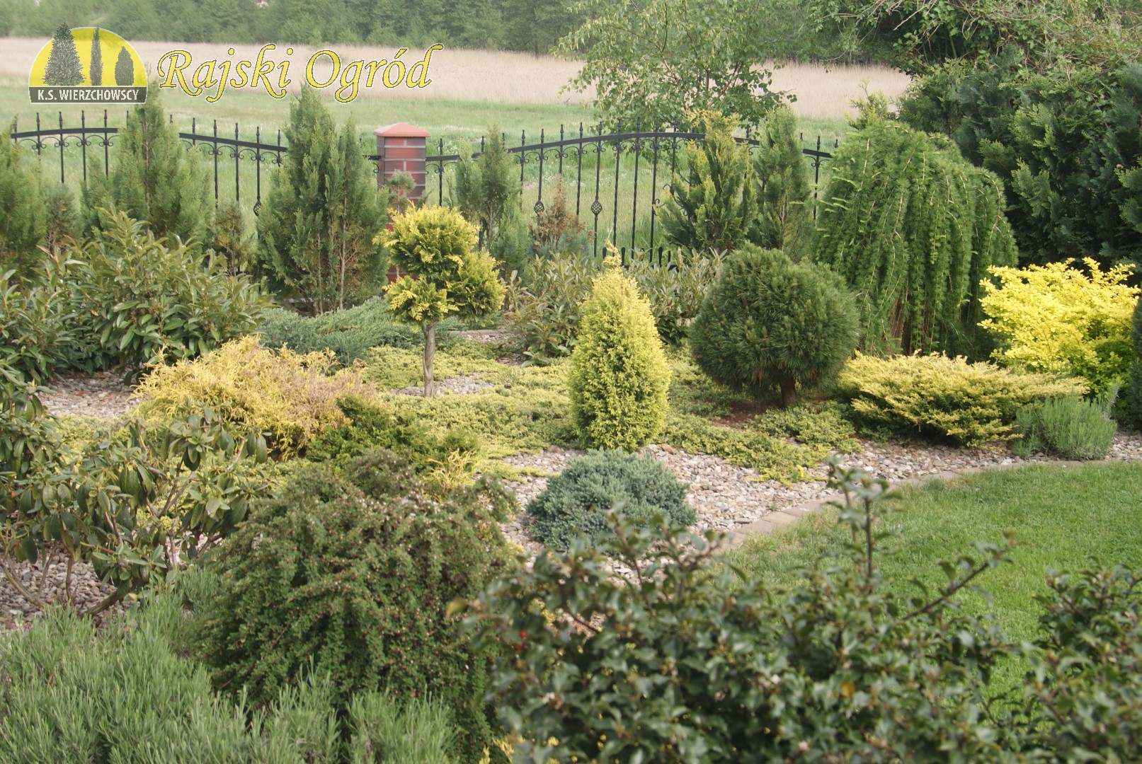 Rajski Ogród Złotów