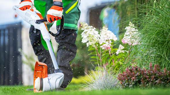 usługi ogrodnicze rośliny ogrodowe